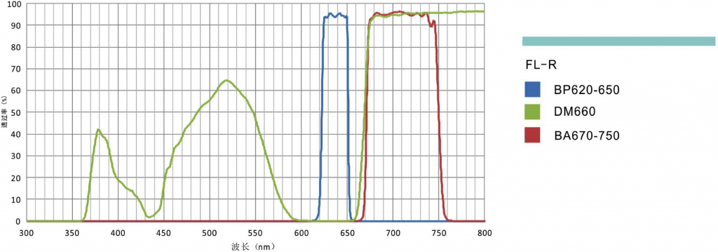 荧光滤光镜组
