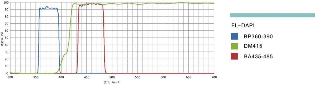 荧光滤光镜组