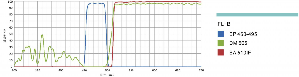 荧光滤光镜组