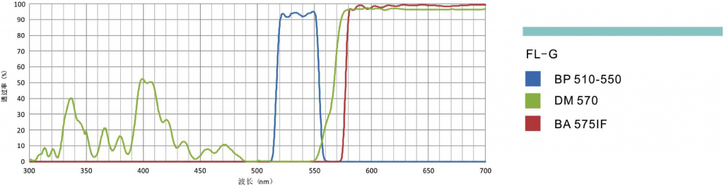荧光滤光镜组