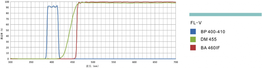 荧光滤光镜组