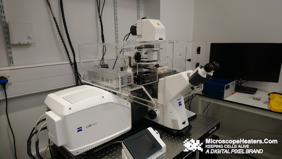 显微镜培养系统