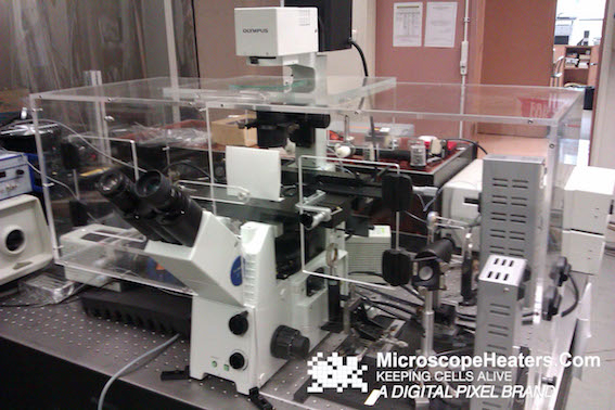 显微镜培养系统