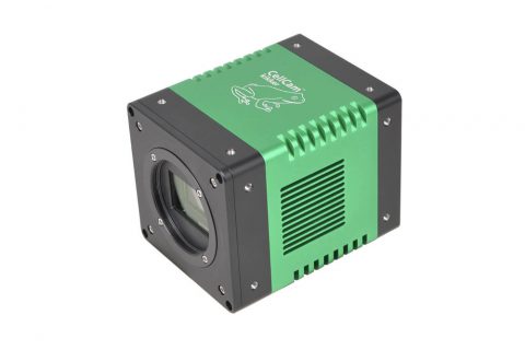 显微镜相机CellCam Kikker